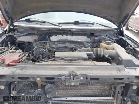 2012 Ford F-150 XL with VIN 1FTFX1EF9CFB10085, listed as a IAAI auction lot 41935625 with 164,833 mi miles and . Bid and sale history available at DreamBid. Image 10.