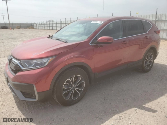 2022 Honda CR-V EX with VIN 5J6RW1H54NA004608, listed as a Copart auction lot 50565115 with 19,564 mi miles and Salvage Title. Bid and sale history available at carsss.com. Image 1.