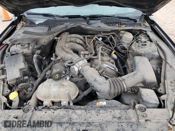2017 Ford Mustang V6 with VIN 1FA6P8AM8H5290658, listed as a Copart auction lot 49836225 with 70,988 mi miles and Clean title. Bid and sale history available at DreamBid. Image 11.