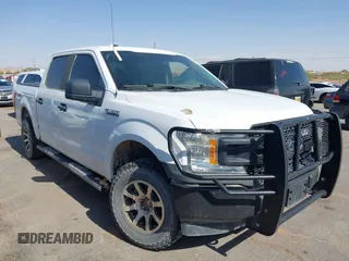 2018 Ford F-150 XL with VIN 1FTEW1E53JKE93841, listed as a IAAI auction lot 42256829 with 126,192 mi miles and . Bid and sale history available at DreamBid. Image 13.