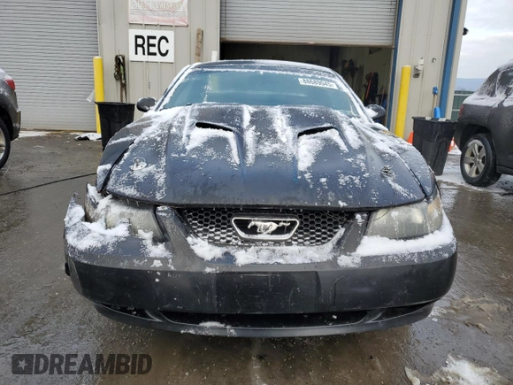 1999 Ford Mustang GT with VIN 1FAFP42X4XF125040, listed as a Copart auction lot 88689045 with 207,662 mi miles and Salvage Title. Bid and sale history available at carsss.com. Image 5.