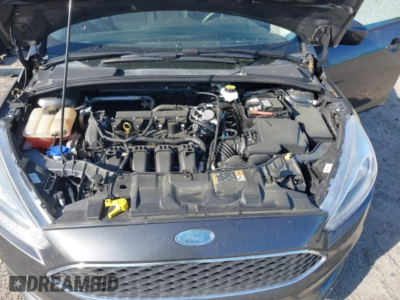 2018 Ford Focus SE with VIN 1FADP3F27JL294865, listed as a IAAI auction lot 41897496 with 100,048 mi miles and . Bid and sale history available at carsss.com. Image 10.