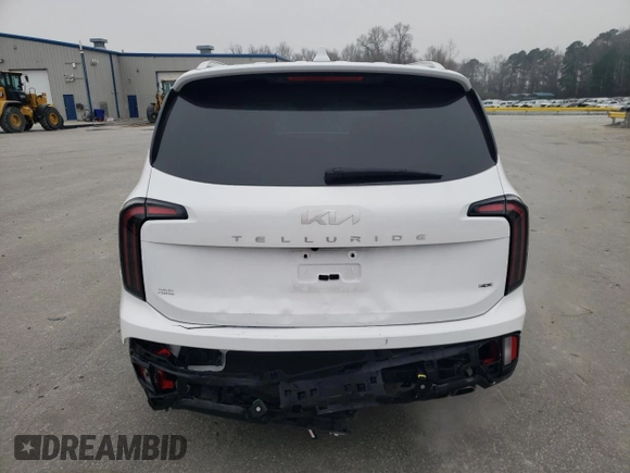 2024 Kia Telluride SX X-Pro with VIN 5XYP5DGC4RG544175, listed as a Copart auction lot 48980245 with 14,624 mi miles and Salvage title. Bid and sale history available at DreamBid. Image 6.