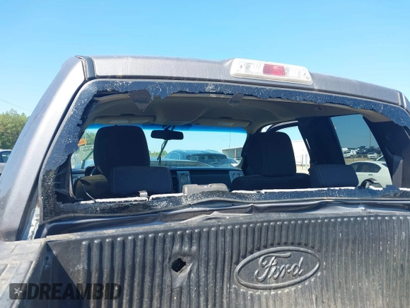 2009 Ford F-150 XL with VIN 1FTPX14V59KC92445, listed as a IAAI auction lot 40280550 with 213,709 mi miles. Bid and sale history available at carsss.com. Image 21.