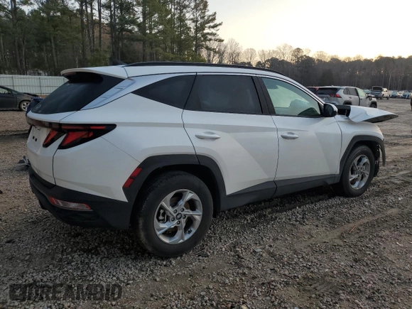 2024 Hyundai Tucson SEL with VIN 5NMJB3DE0RH366009, listed as a Copart auction lot 48182905 with 18,566 mi miles and Salvage Title. Bid and sale history available at carsss.com. Image 3.
