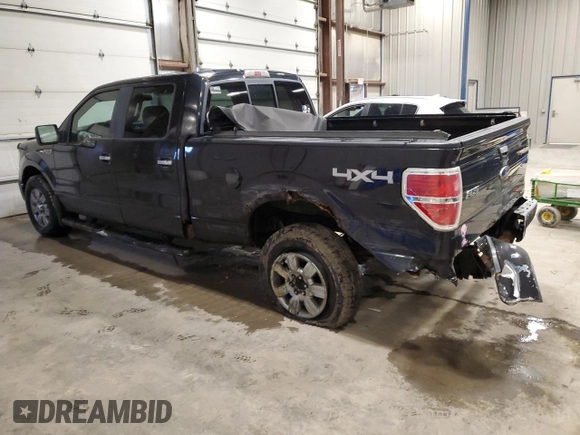 2010 Ford F-150 XL with VIN 1FTFW1EV6AFA11876, listed as a Copart auction lot 47563355 with 224,151 mi miles and Non Repairable. Bid and sale history available at carsss.com. Image 2.