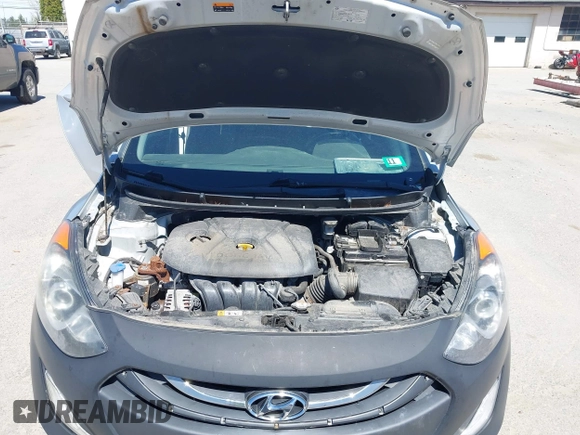 2013 Hyundai Elantra GT with VIN KMHD35LE7DU086883, listed as a IAAI auction lot 42158289 with 117,290 mi miles. Bid and sale history available at carsss.com. Image 10.
