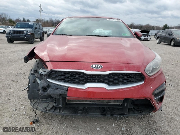 2019 Kia Forte FE with VIN 3KPF24AD5KE100344, listed as a Copart auction lot 84561144 with NaN miles and Salvage Title. Bid and sale history available at carsss.com. Image 5.