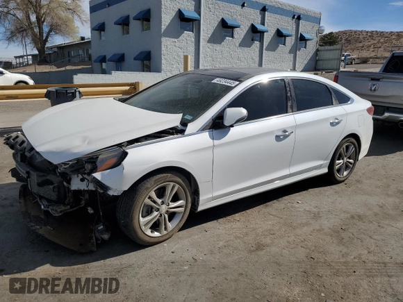 2019 Hyundai Sonata SEL with VIN 5NPE34AF5KH738048, listed as a Copart auction lot 49234445 with 62,075 mi miles and Salvage Title. Bid and sale history available at DreamBid. Image 1.