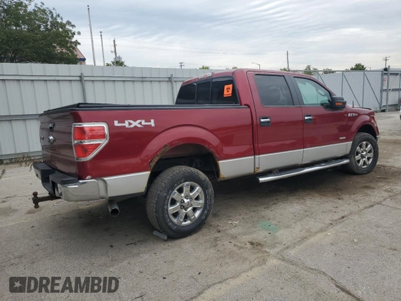 2013 Ford F-150 XL with VIN 1FTFW1ET7DFD24499, listed as a Copart auction lot 58368505 with 182,513 mi miles and Salvage title. Bid and sale history available at DreamBid. Image 3.