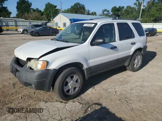 2004 Ford Escape XLT with VIN 1FMYU93104KA32047, listed as a Copart auction lot 61364985 with 160,822 mi miles and Salvage title. Bid and sale history available at DreamBid. Image 1.