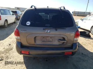 2005 Hyundai Santa Fe GLS with VIN KM8SC73E95U889313, listed as a Copart auction lot 42508925 with 187,643 mi miles and Salvage Title. Bid and sale history available at carsss.com. Image 6.