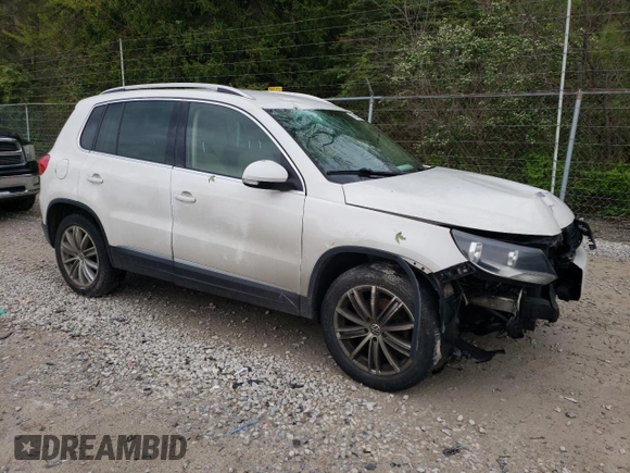 2013 Volkswagen Tiguan SE with VIN WVGAV7AX1DW527053, listed as a Copart auction lot 55934895 with 202,761 mi miles and Clean title. Bid and sale history available at DreamBid. Image 4.