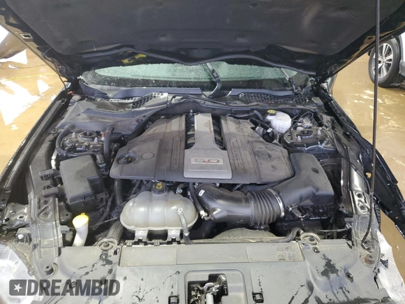 2019 Ford Mustang GT z VIN 1FA6P8CF9K5146803, wystawiony jako Copart lot #50884755 z przebiegiem 79 441 mil mil oraz Szkoda całkowita • Salvage title. Historia ofert i sprzedaży dostępna na DreamBid. Obrazek 13.