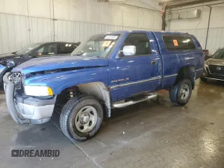 1996 Dodge Ram 1500 with VIN 1B7HF16Z8TJ180744, listed as a Copart auction lot 44231685 with 0 mi miles and Non Repairable. Bid and sale history available at carsss.com. Image 1.