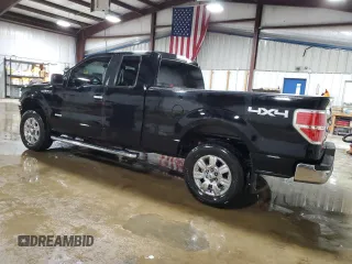 2011 Ford F-150 XL with VIN 1FTFX1ET7BFC43304, listed as a Copart auction lot 51225085 with 119,048 mi miles and Salvage Title. Bid and sale history available at DreamBid. Image 2.