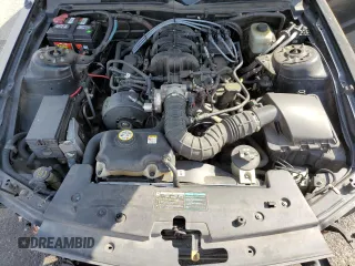 2005 Ford Mustang Deluxe with VIN 1ZVHT80N755201499, listed as a Copart auction lot 52082585 with 203,854 mi miles and Salvage Title. Bid and sale history available at carsss.com. Image 11.