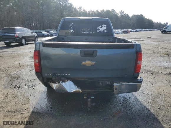 2007 Chevrolet Silverado 1500 LS with VIN 2GCEK13C671723040, listed as a Copart auction lot 42677995 with 250,614 mi miles and Salvage Title. Bid and sale history available at carsss.com. Image 6.