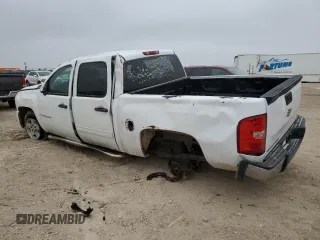 2009 Chevrolet Silverado 1500 LT with VIN 3GCEC23C99G109242, listed as a Copart auction lot 45312595 with 166,422 mi miles and Non Repairable. Bid and sale history available at DreamBid. Image 2.