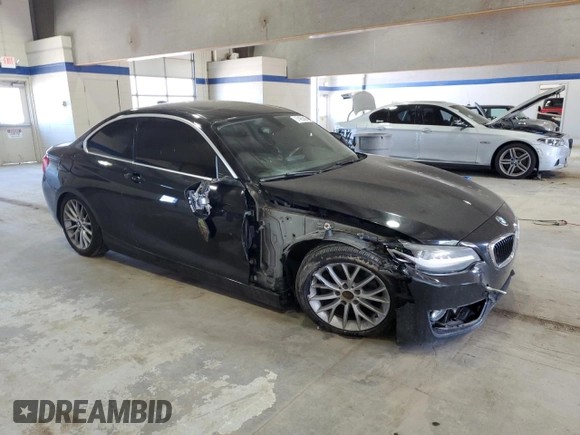 2014 BMW 2 Series 228i with VIN WBA1F5C52EVV99367, listed as a Copart auction lot 57465805 with 113,208 mi miles and Salvage title. Bid and sale history available at DreamBid. Image 4.