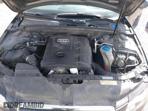 2011 Audi A4 2.0T Premium Plus with VIN WAUFFAFL6BN004234, listed as a IAAI auction lot 42142276 with 116,355 mi miles. Bid and sale history available at carsss.com. Image 10.