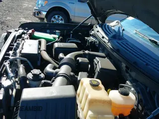 2010 Ford F-150 XL с VIN 1FTFX1EVXAFA83175, выставлен на аукционе IAAI как лот 43065251 с пробегом 97 017 миль миль и . История ставок и продаж доступна на DreamBid. Изображение 19.