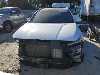 2019 Hyundai Santa Fe Limited with VIN 5NMS53AA1KH013247, listed as a Copart auction lot 87628385 with 66,022 mi miles and Salvage Title. Bid and sale history available at carsss.com. Image 5.