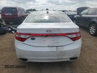 2013 Hyundai Azera with VIN KMHFG4JGXDA215602, listed as a Copart auction lot 66165305 with 119,166 mi miles and Clean title. Bid and sale history available at DreamBid. Image 6.