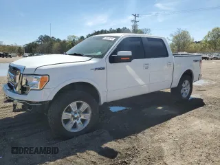 2009 Ford F-150 XL z VIN 1FTPW14V99KC94153, wystawiony jako Copart lot #49473415 z przebiegiem 202 809 mil mil oraz Szkoda całkowita • Salvage title. Historia ofert i sprzedaży dostępna na DreamBid. Obrazek 1.