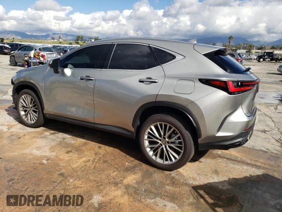 2022 Lexus NX with VIN JTJHKCEZXN5004103, listed as a Copart auction lot 41949854 with 10,897 mi miles. Bid and sale history available at carsss.com. Image 2.