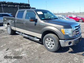 2009 Ford F-150 XL with VIN 1FTPW14V49FA98033, listed as a IAAI auction lot 41822035 with 209,727 mi miles. Bid and sale history available at carsss.com. Image 1.