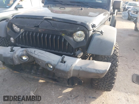 2017 Jeep Wrangler Unlimited Sport with VIN 1C4BJWDG0HL528695, listed as a IAAI auction lot 41229124 with 160,410 mi miles. Bid and sale history available at carsss.com. Image 6.