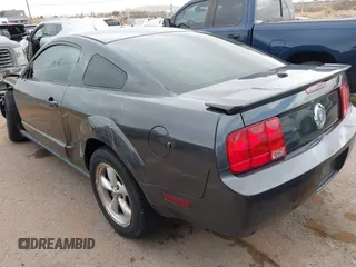 2009 Ford Mustang with VIN 1ZVHT80N295101977, listed as a IAAI auction lot 41566811 with 215,250 mi miles and . Bid and sale history available at carsss.com. Image 3.