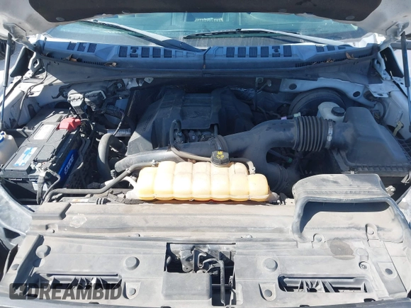 2016 Ford F-150 XL with VIN 1FTEX1CP4GFC85325, listed as a IAAI auction lot 41949318 with 252,263 mi miles and . Bid and sale history available at carsss.com. Image 10.