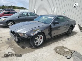 2010 Ford Mustang V6 with VIN 1ZVBP8AN2A5150254, listed as a Copart auction lot 54720485 with 145,942 mi miles and Non repairable. Bid and sale history available at DreamBid. Image 1.