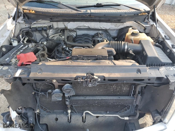2013 Ford F-150 XL with VIN 1FTFW1CF4DKE48752, listed as a Copart auction lot 49766315 with 270,054 mi miles and Salvage Title. Bid and sale history available at carsss.com. Image 11.