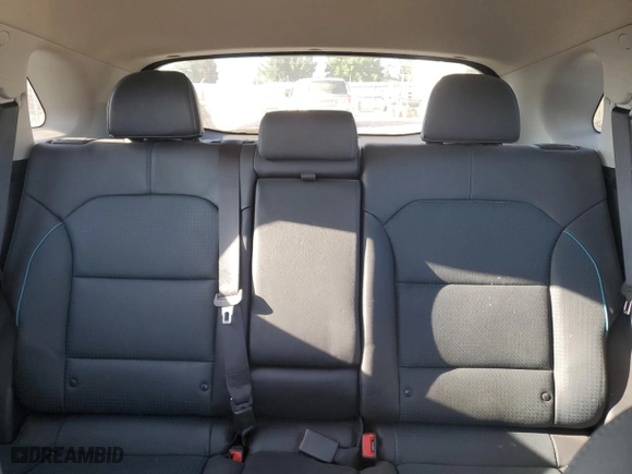 2019 Kia Niro EV EX Premium with VIN KNDCE3LG0K5029951, listed as a Copart auction lot 64608344 with 20,082 mi miles and Salvage Title. Bid and sale history available at carsss.com. Image 10.