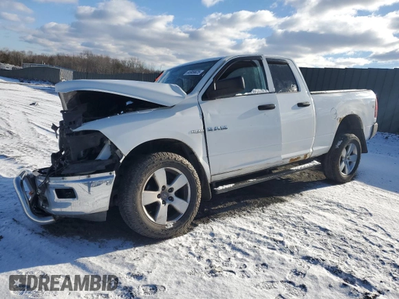 2010 Dodge 1500 TRX with VIN 1D7RV1GTXAS129762, listed as a Copart auction lot 44989825 with Not Provided miles and Salvage Title. Bid and sale history available at carsss.com. Image 1.