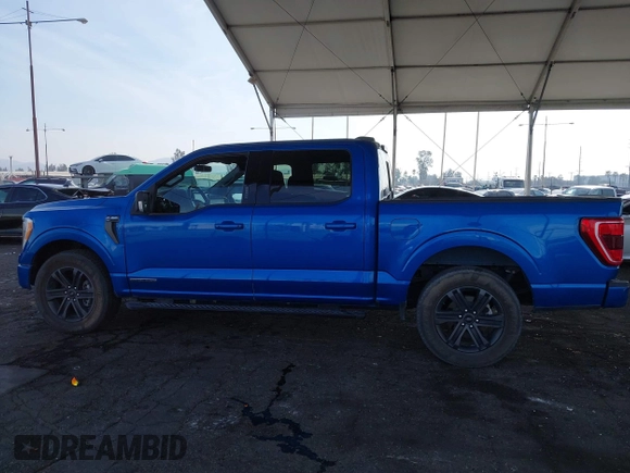 2021 Ford F-150 XL with VIN 1FTFW1CD0MFC50953, listed as a IAAI auction lot 41466036 with 33,983 mi miles and . Bid and sale history available at DreamBid. Image 14.