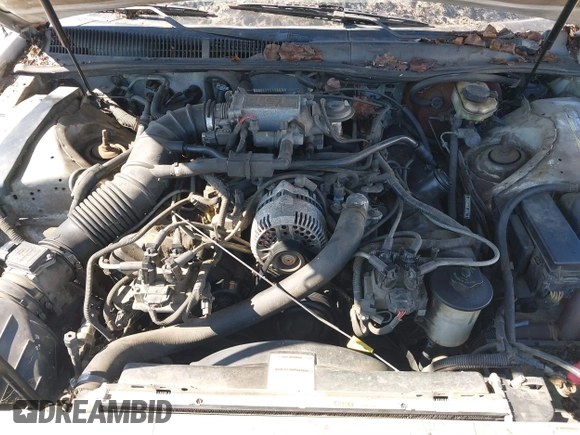 1996 Ford Thunderbird LX z VIN 1FALP62W3TH135238, wystawiony jako IAAI lot #41692746 z przebiegiem 136 464 mil mil oraz . Historia ofert i sprzedaży dostępna na DreamBid. Obrazek 10.