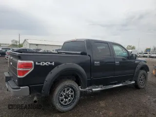 2010 Ford F-150 XL with VIN 1FTFW1EV1AKB33018, listed as a Copart auction lot 54377785 with 160,695 mi miles and Salvage title. Bid and sale history available at DreamBid. Image 3.