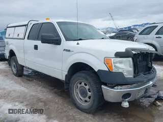 2010 Ford F-150 XL with VIN 1FTFX1EV0AKE32058, listed as a IAAI auction lot 41655246 with 185,671 mi miles and . Bid and sale history available at DreamBid. Image 1.