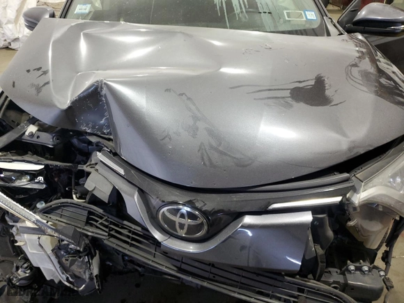 2017 Toyota RAV4 XLE with VIN JTMRFREV5HJ134006, listed as a Copart auction lot 44566055 with 0 mi miles and Salvage Title. Bid and sale history available at carsss.com. Image 12.