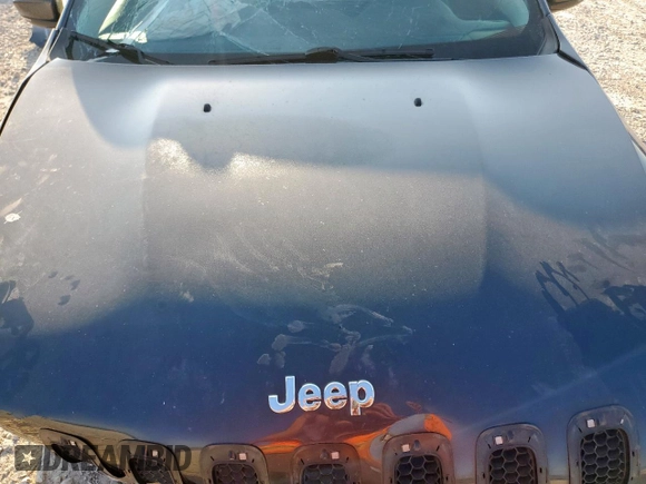 2014 Jeep Cherokee Limited with VIN 1C4PJLDS7EW312863, listed as a Copart auction lot 59418155 with 66,435 mi miles and Salvage title. Bid and sale history available at DreamBid. Image 12.