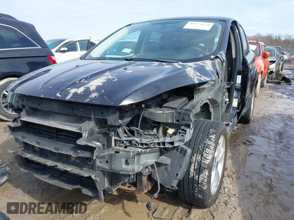 2013 Ford Escape SE с VIN 1FMCU0GX0DUD08753, выставлен на аукционе IAAI как лот 41674828 с пробегом 149 850 миль миль и . История ставок и продаж доступна на DreamBid. Изображение 6.