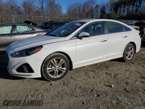 2019 Hyundai Sonata SEL with VIN 5NPE34AFXKH740443, listed as a Copart auction lot 49321825 with 52,162 mi miles and Salvage Title. Bid and sale history available at DreamBid. Image 1.