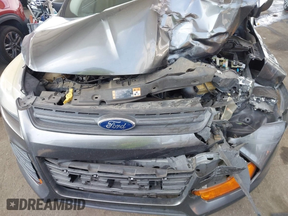 2015 Ford Escape S with VIN 1FMCU0F74FUB81395, listed as a IAAI auction lot 42122007 with 156,736 mi miles and . Bid and sale history available at DreamBid. Image 6.