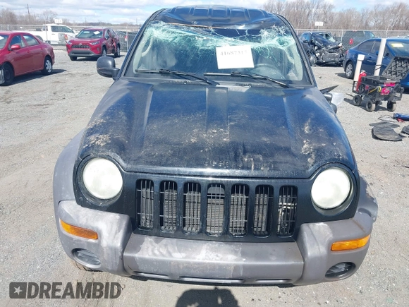 2002 Jeep Liberty Sport with VIN 1J4GL48K82W345855, listed as a IAAI auction lot 41687317 with 231,969 mi miles. Bid and sale history available at carsss.com. Image 13.