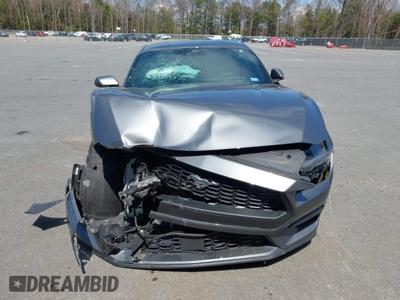 2024 Ford Mustang EcoBoost с VIN 1FA6P8TH3R5110388, выставлен на аукционе IAAI как лот 42103785 с пробегом 16 538 миль миль и . История ставок и продаж доступна на DreamBid. Изображение 12.
