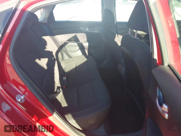 2019 Kia Forte LXS with VIN 3KPF24AD1KE015033, listed as a IAAI auction lot 41772546 with 74,154 mi miles. Bid and sale history available at carsss.com. Image 8.